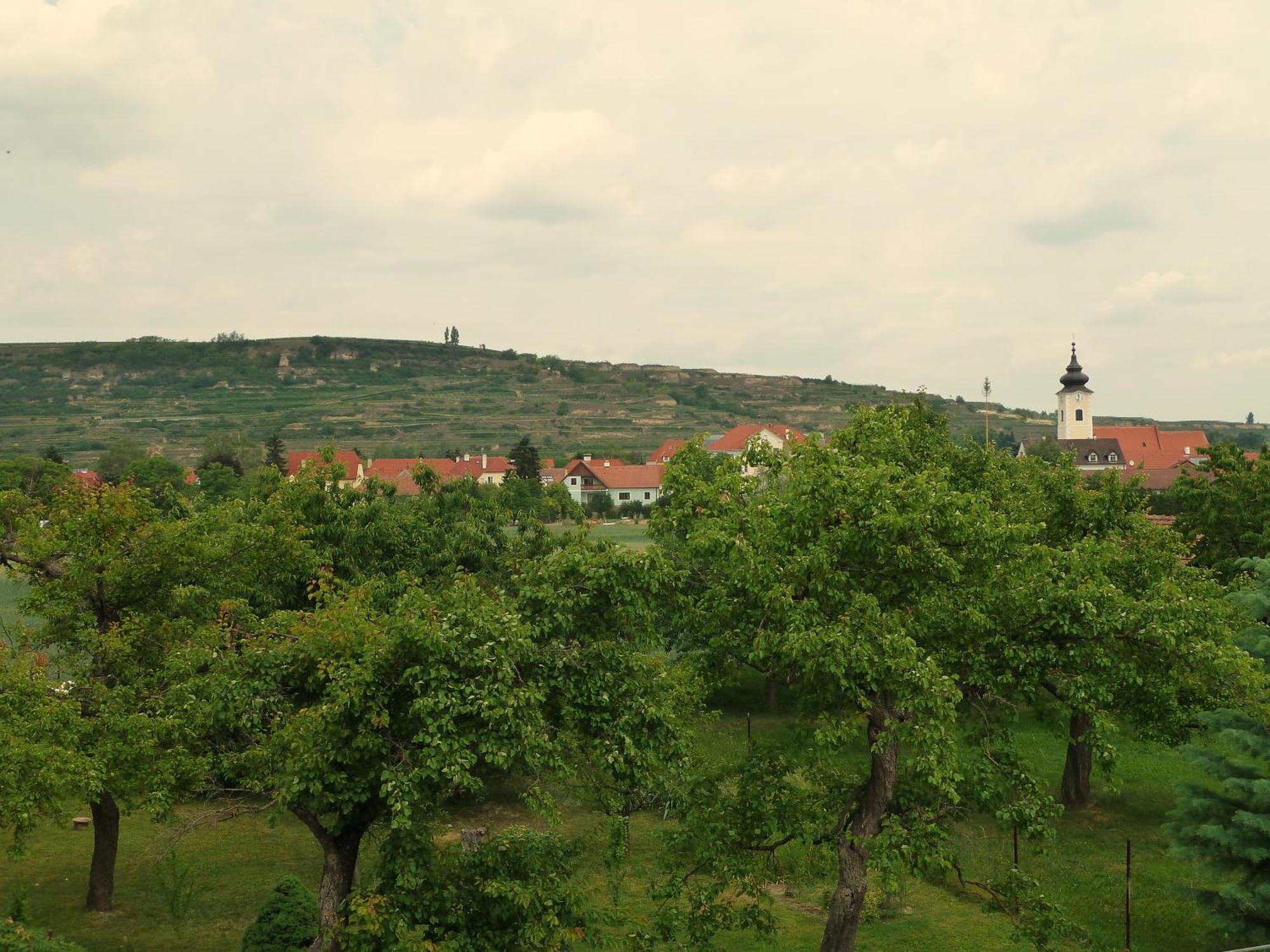 Ferienwohnung Weinbergblick Rohrendorf bei Krems Экстерьер фото