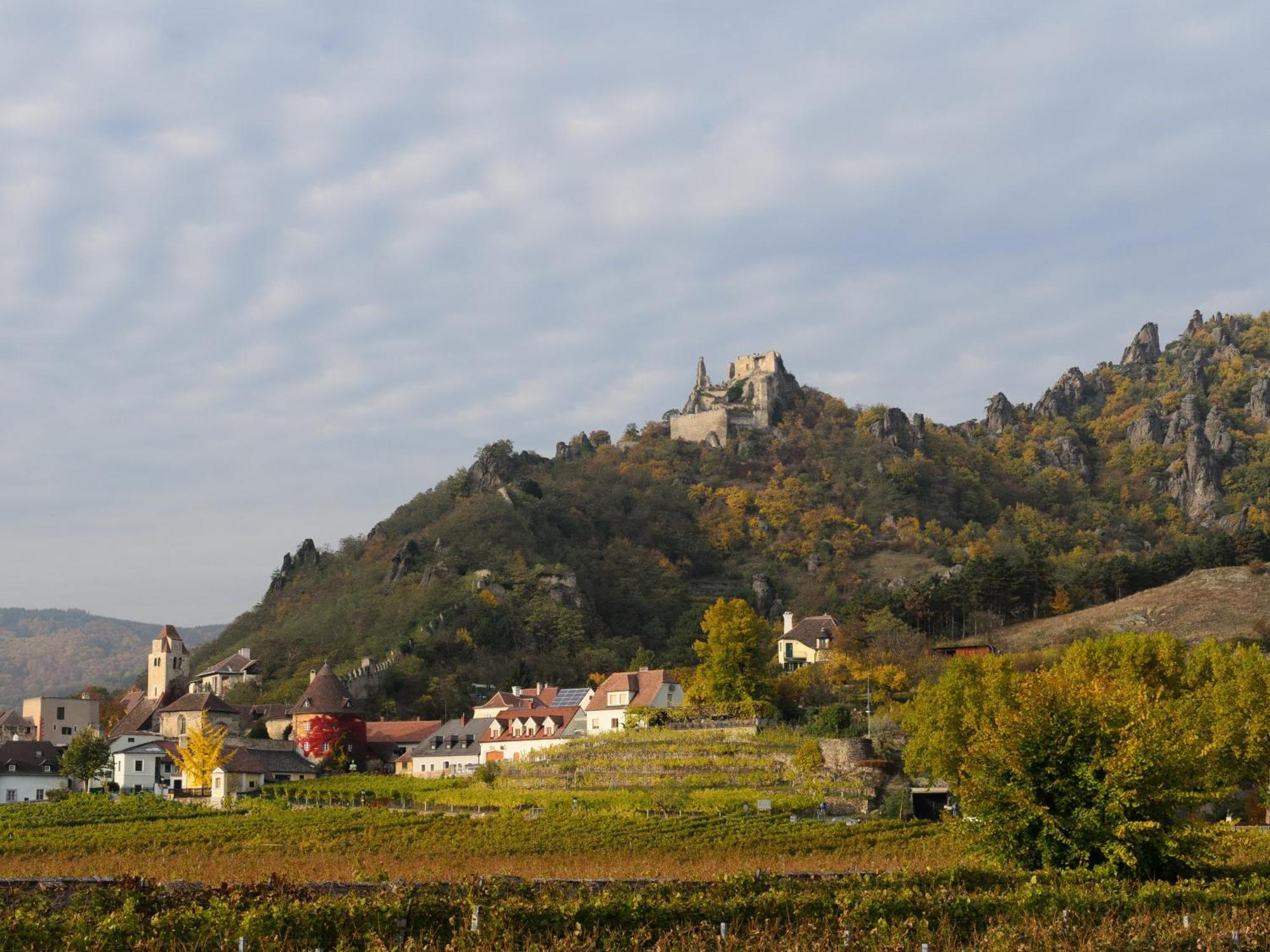 Ferienwohnung Weinbergblick Rohrendorf bei Krems Экстерьер фото