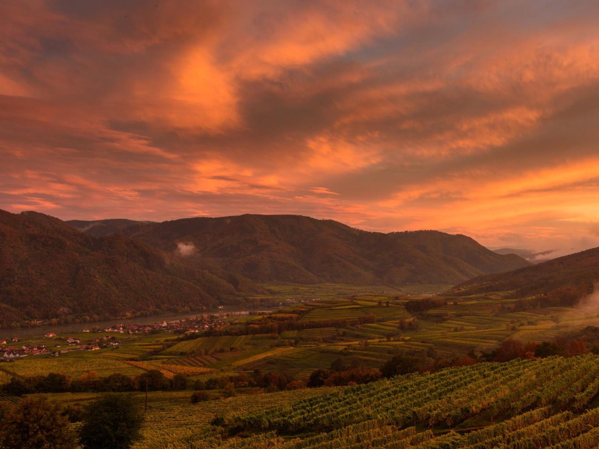 Ferienwohnung Weinbergblick Rohrendorf bei Krems Экстерьер фото