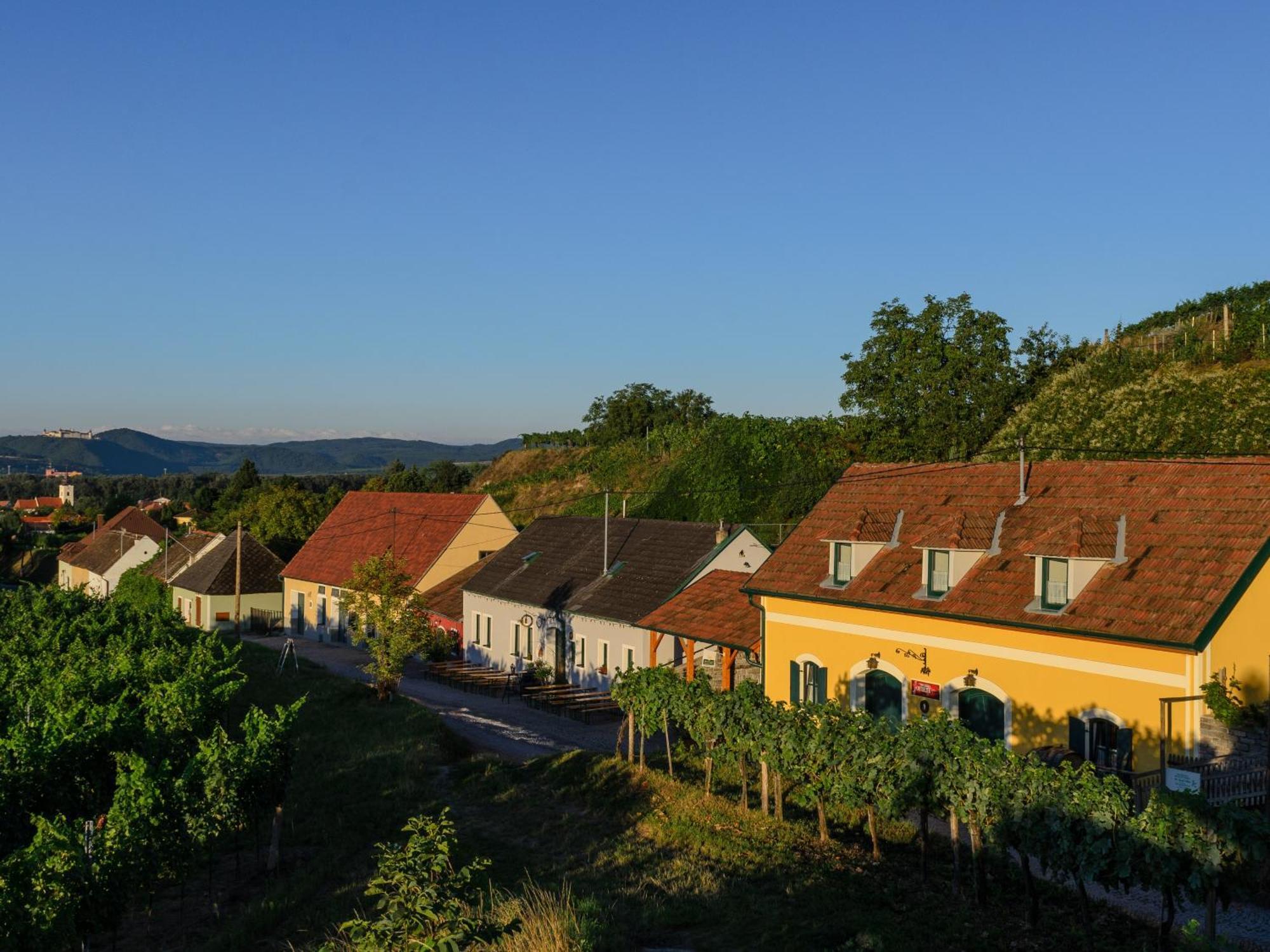 Ferienwohnung Weinbergblick Rohrendorf bei Krems Экстерьер фото